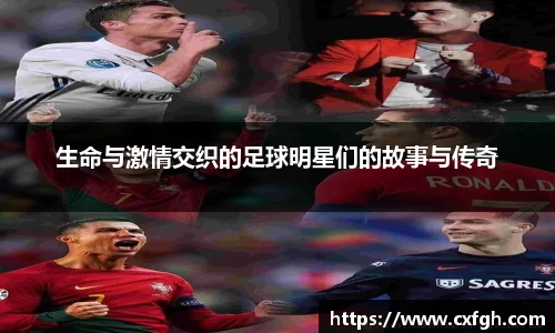 游艇会yth官网